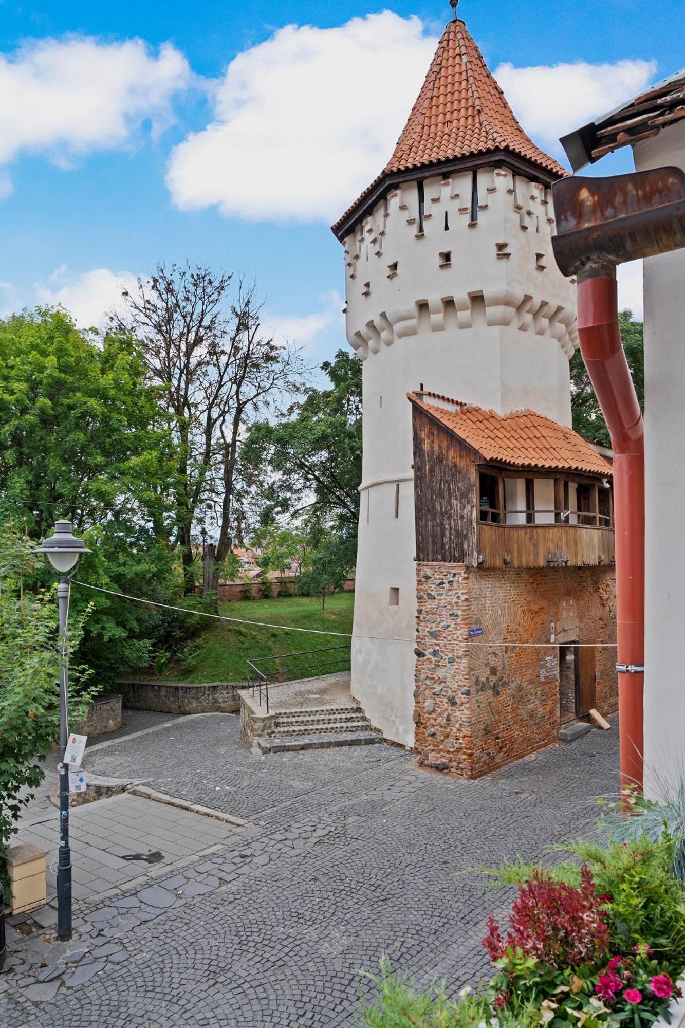 Gela'S Terrace Apartment Сибиу Екстериор снимка